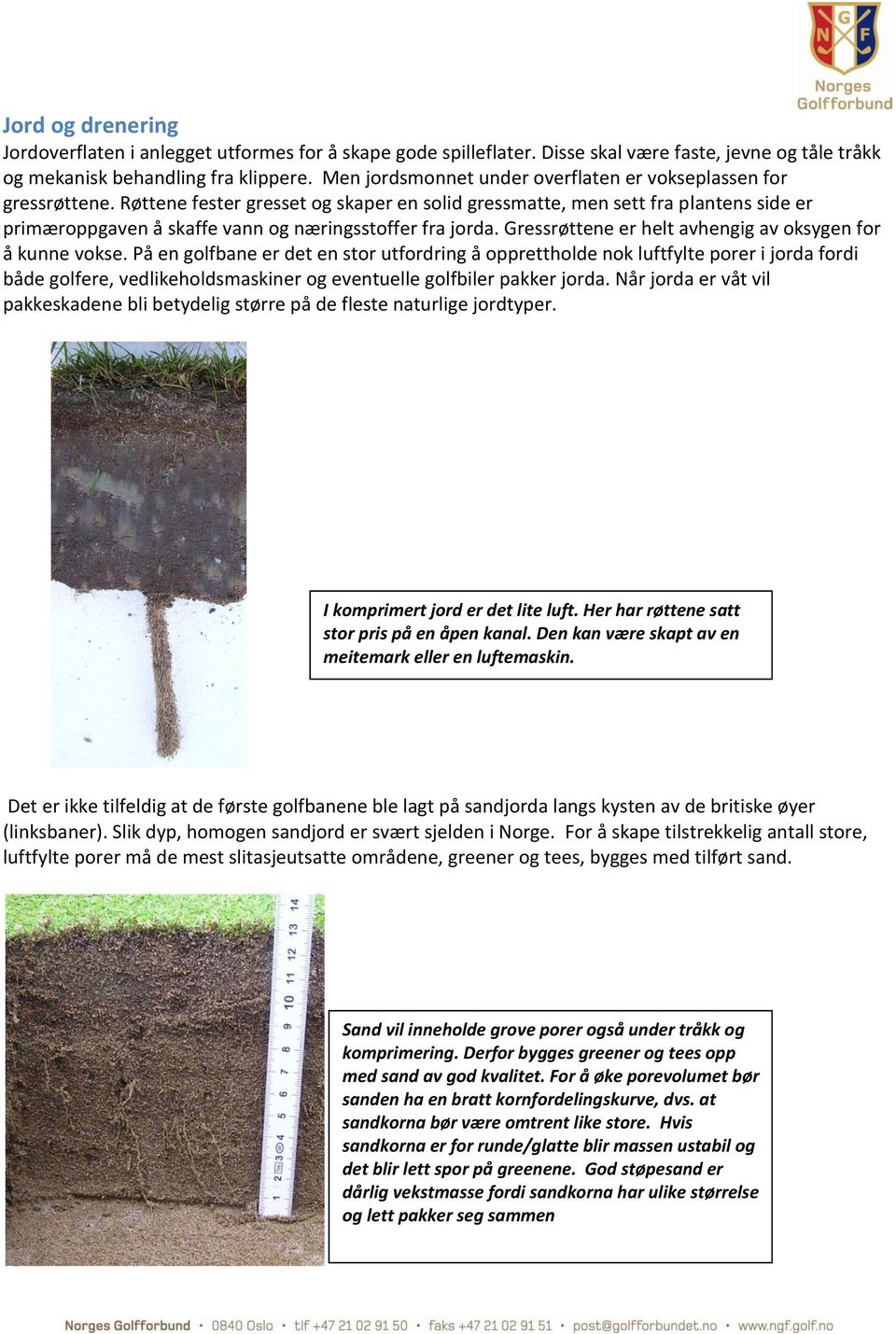 Røttene fester gresset og skaper en solid gressmatte, men sett fra plantens side er primæroppgaven å skaffe vann og næringsstoffer fra jorda.