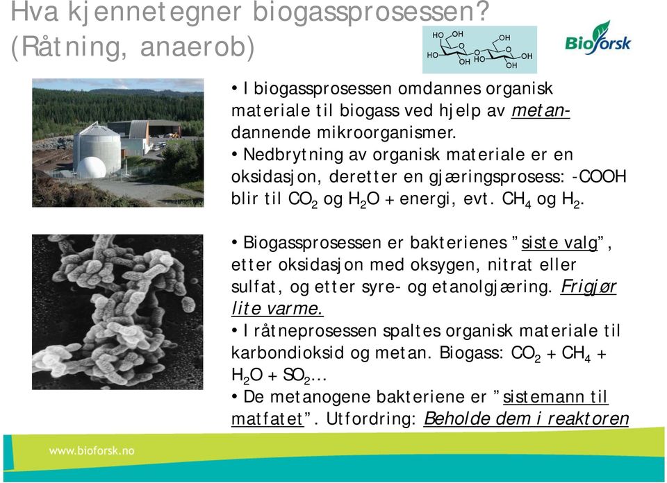 Biogassprosessen er bakterienes siste valg, etter oksidasjon med oksygen, nitrat eller sulfat, og etter syre- og etanolgjæring. Frigjør lite varme.