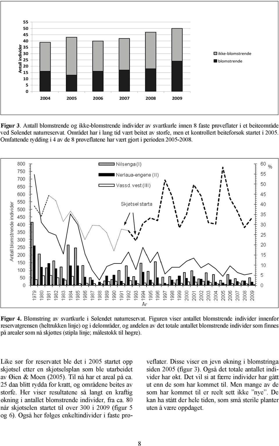 Området har i lang tid vært beitet av storfe, men et kontrollert beiteforsøk startet i 2005. Omfattende rydding i 4 av de 8 prøveflatene har vært gjort i perioden 2005-2008. Figur 4.