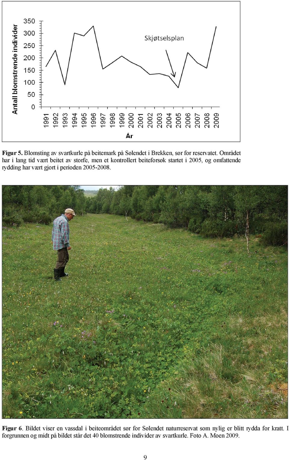 rydding har vært gjort i perioden 2005-2008. Figur 6.