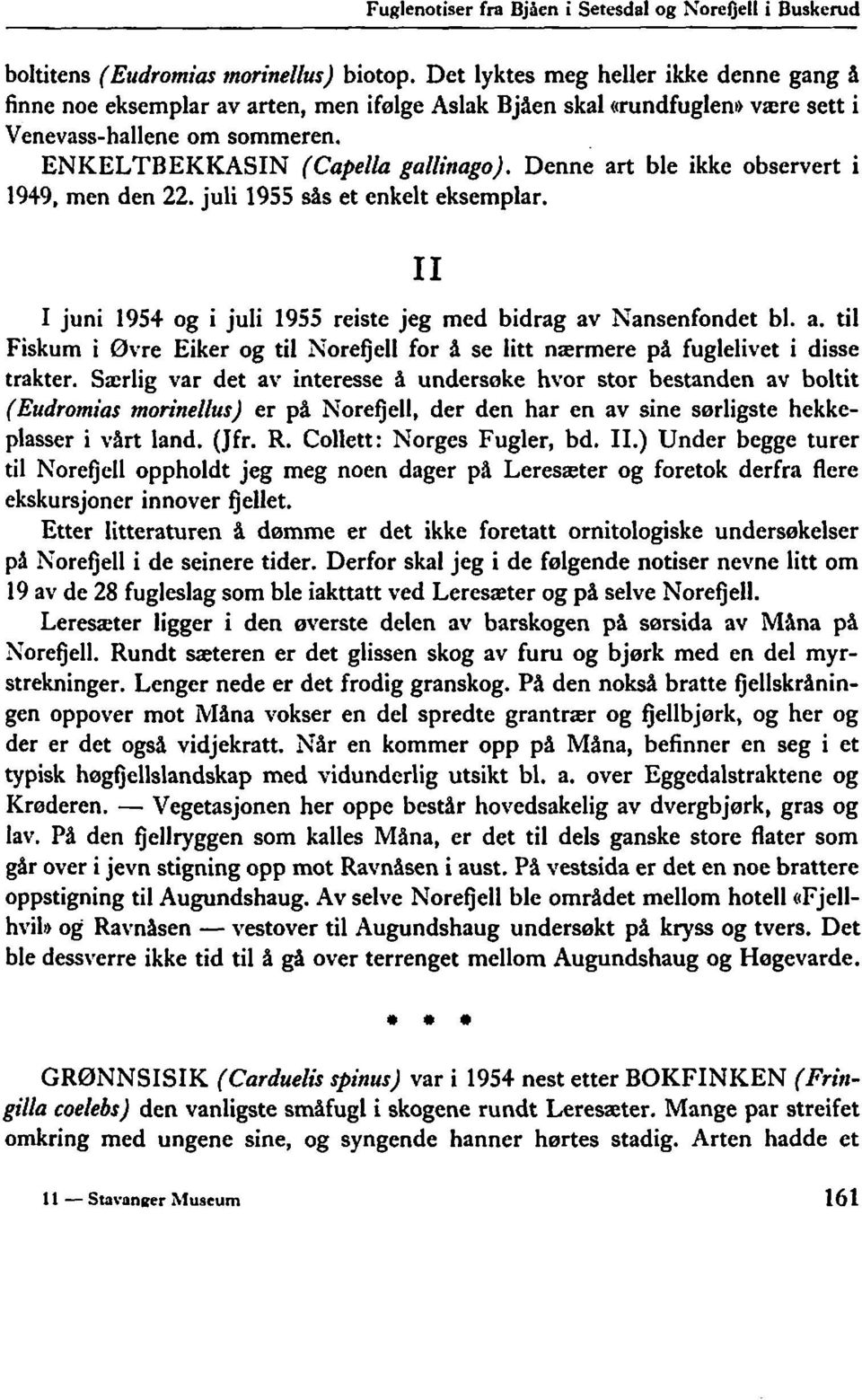 Denne art ble ikke observert i 1949. men den 22. juli 1955 sås et enkelt eksemplar. I juni 1954 og i juli 1955 reiste jeg med bidrag av Nansenfondet bl. a. til Fiskum i Øvre Eiker og til Norefjell for å se litt nærmere på fuglelivet i disse trakter.