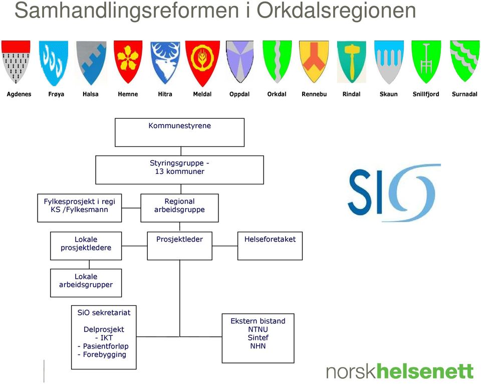 /Fylkesmann Regional arbeidsgruppe Lokale prosjektledere Prosjektleder Helseforetaket Lokale