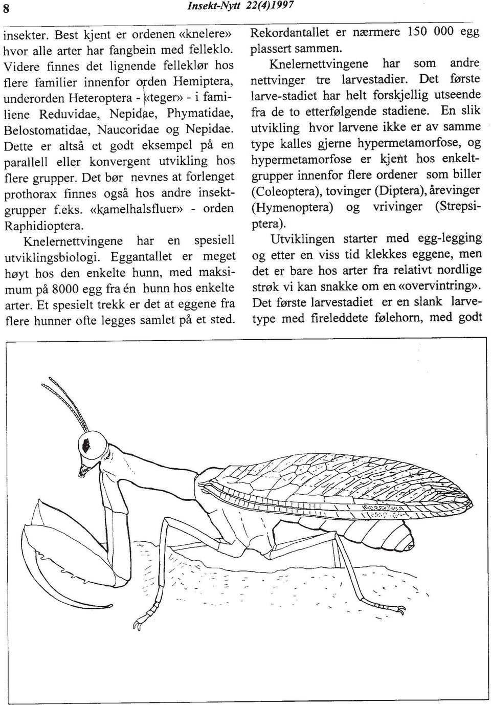Nepidae. Dette er altsi et godt eksempel ph en parallell eller konvergent utvikling hos flere grupper. Det berr nevnes at forlenget prothorax finnes ogsh hos andre insektgrupper f.eks. crkamelhalsfluer)) - orden Raphidioptera.
