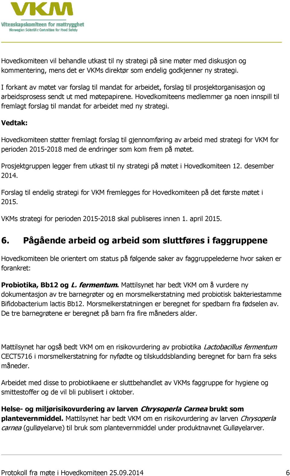 Hovedkomiteens medlemmer ga noen innspill til fremlagt forslag til mandat for arbeidet med ny strategi.