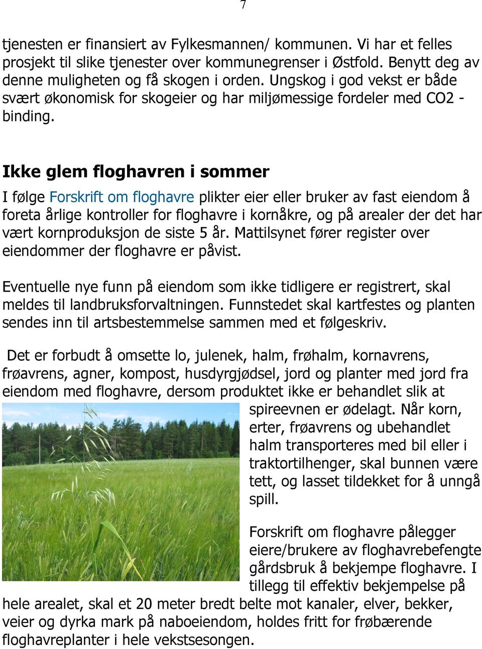 Ikke glem floghavren i sommer I følge Forskrift om floghavre plikter eier eller bruker av fast eiendom å foreta årlige kontroller for floghavre i kornåkre, og på arealer der det har vært