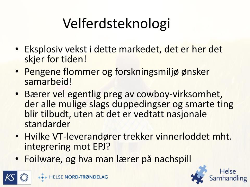 Bærer vel egentlig preg av cowboy-virksomhet, der alle mulige slags duppedingser og smarte ting