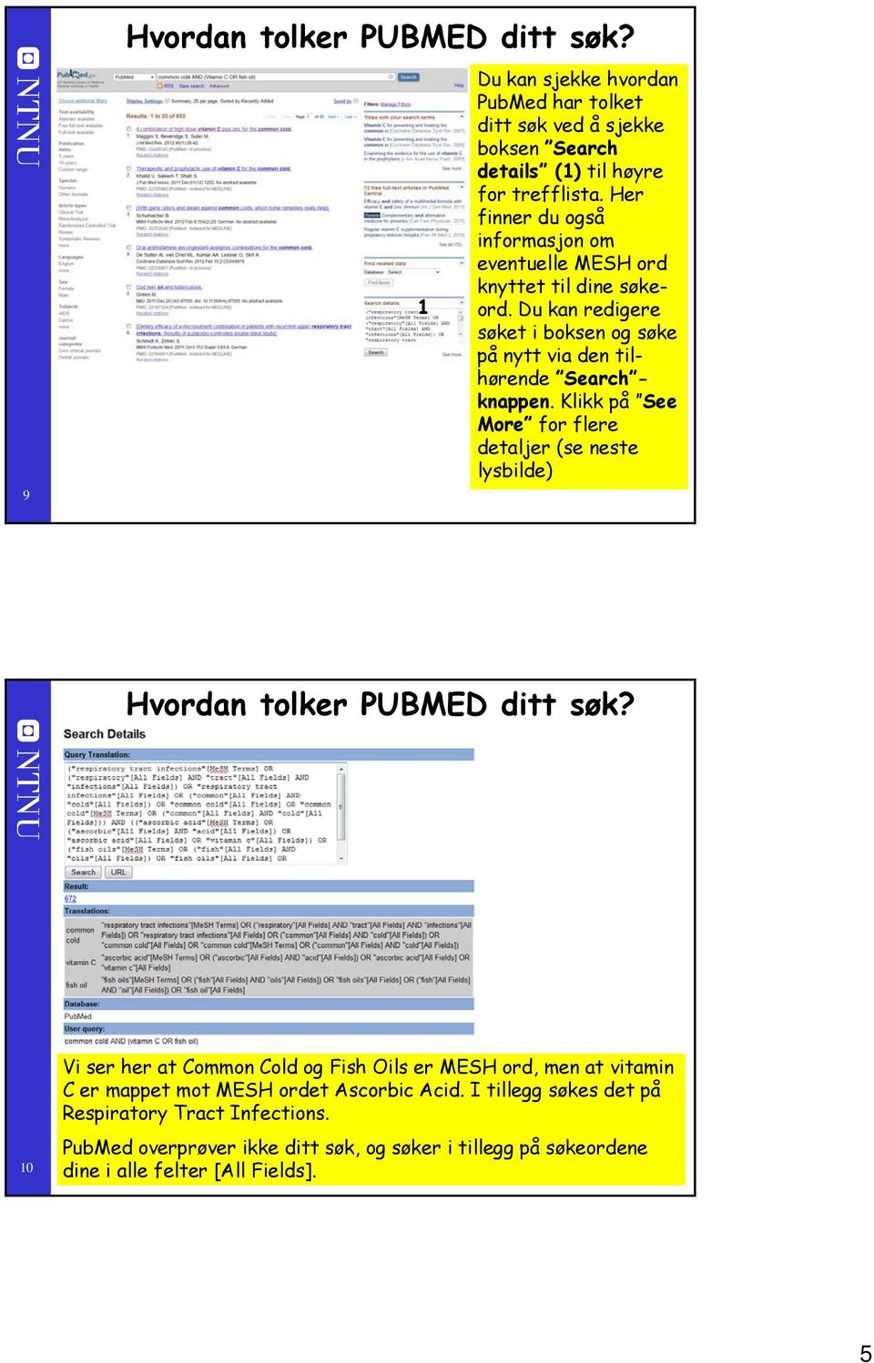 Klikk på See More for flere detaljer (se neste lysbilde) Hvordan tolker PUBMED ditt søk?