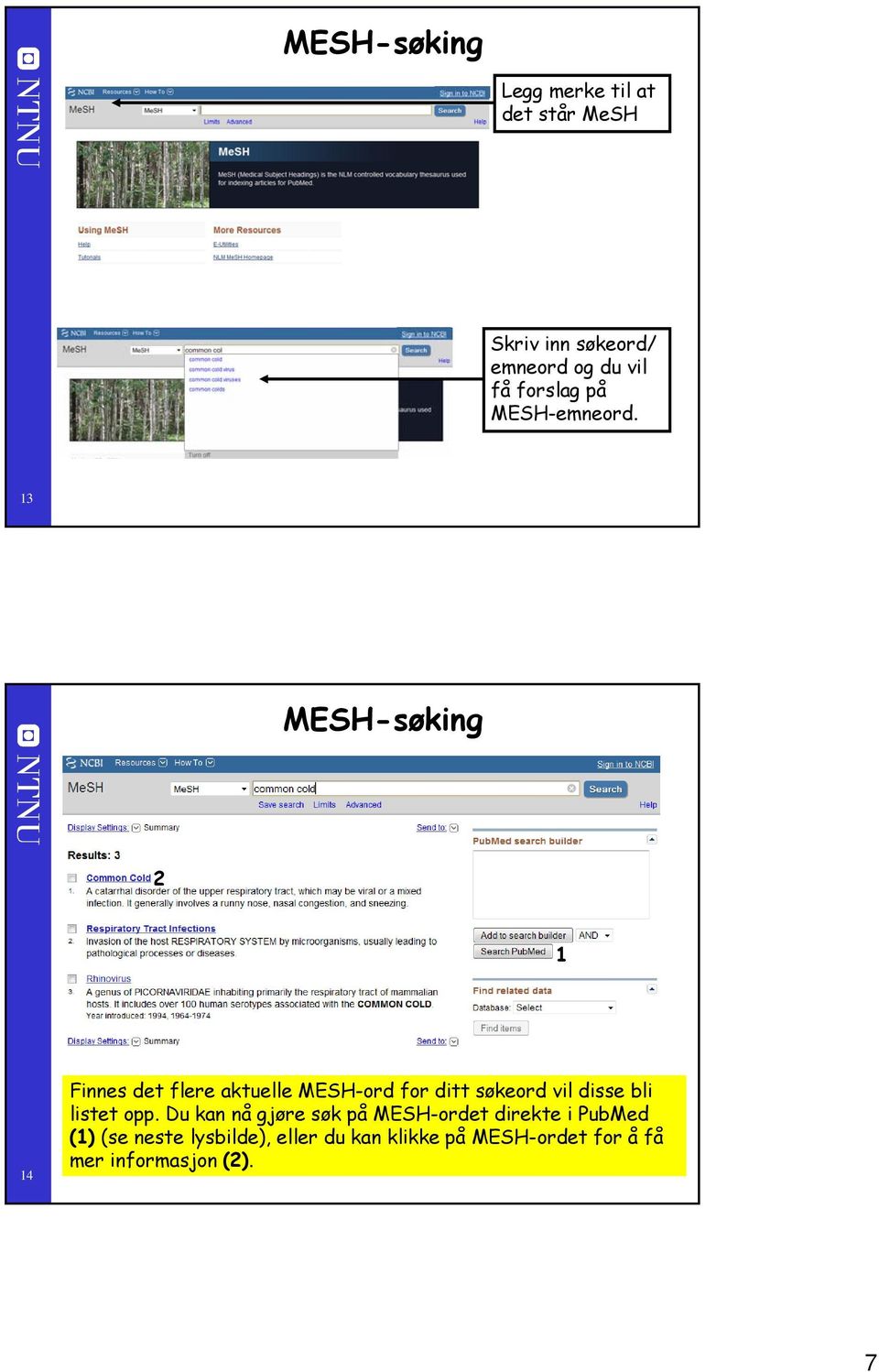 3 MESH-søking 4 Finnes det flere aktuelle MESH-ord for ditt søkeord vil disse bli