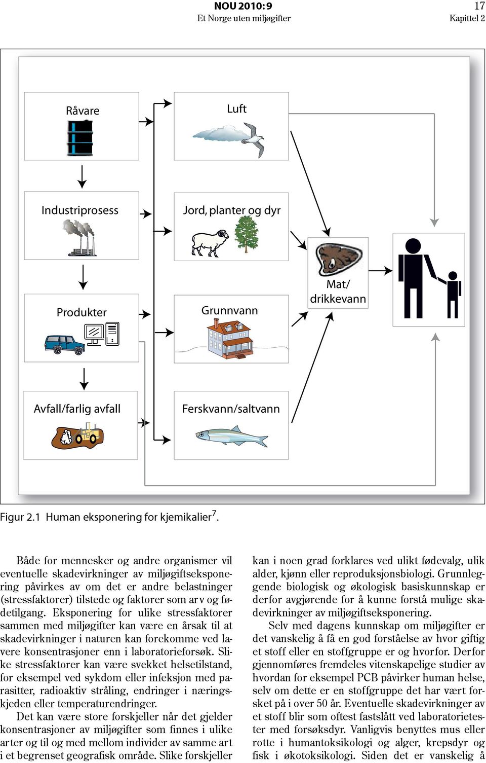 Både for mennesker og andre organismer vil eventuelle skadevirkninger av miljøgiftseksponering påvirkes av om det er andre belastninger (stressfaktorer) tilstede og faktorer som arv og fødetilgang.