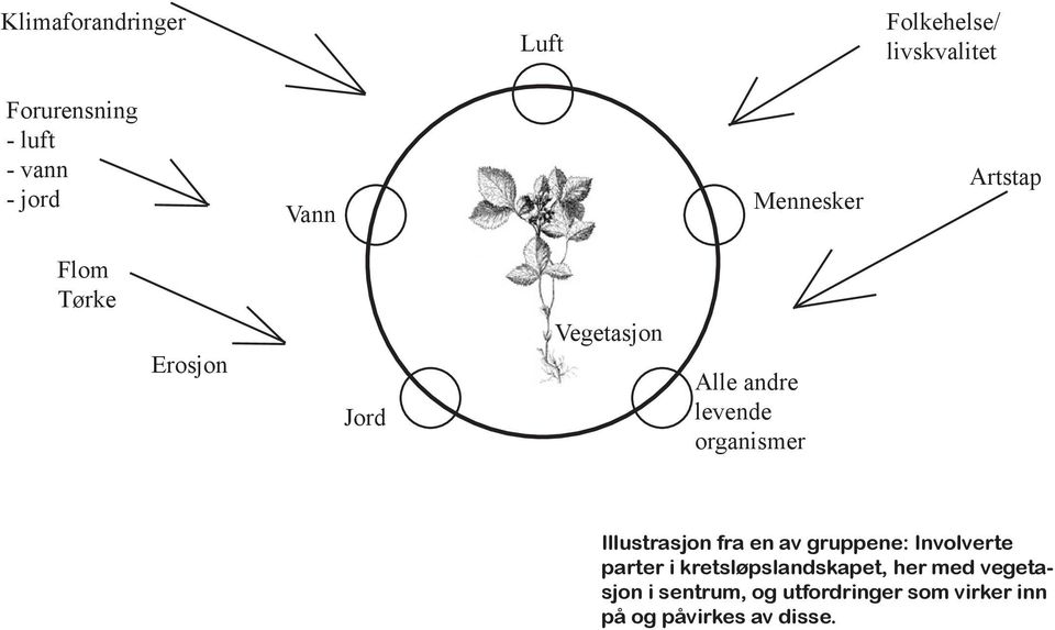 Mennesker Artstap Flm Tørke Ersjn Jrd Vegetasjn Alle andre levende rganismer