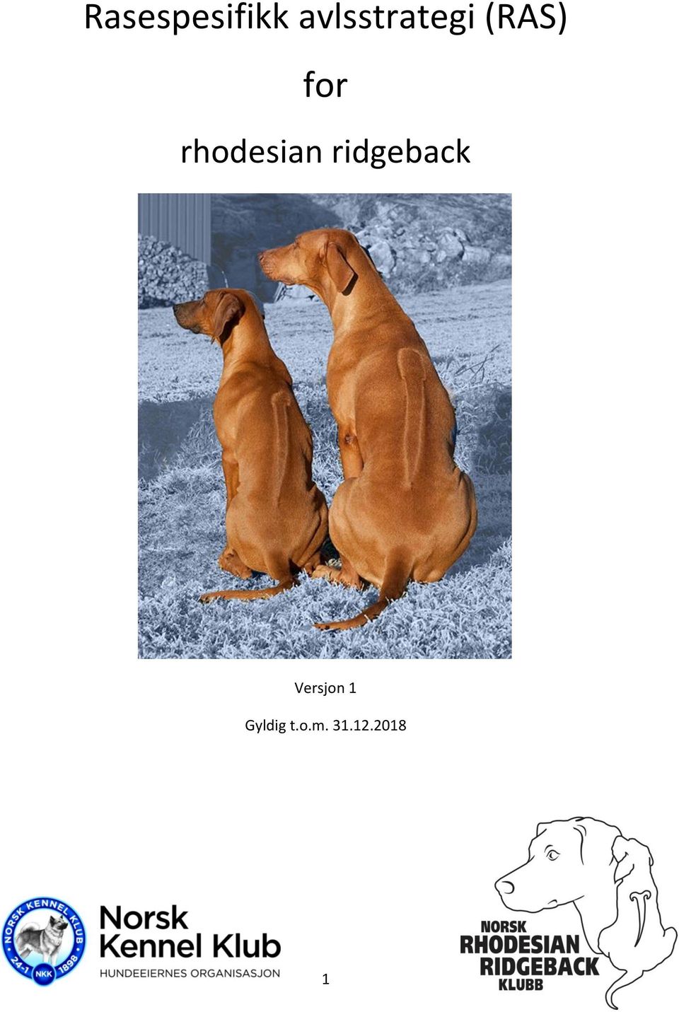 rhodesian ridgeback