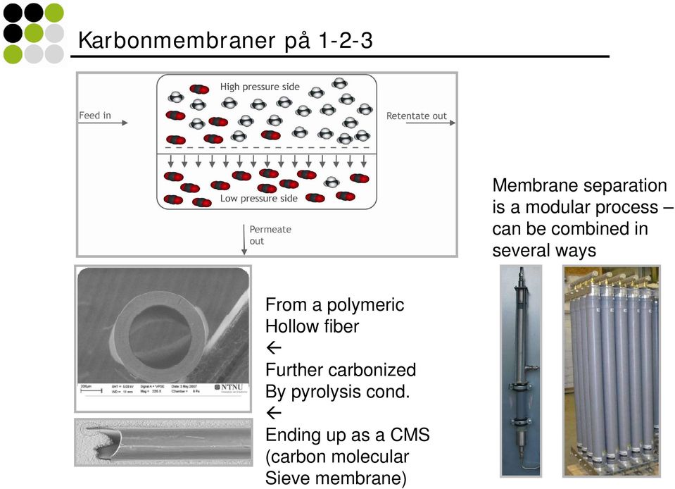 polymeric Hollow fiber Further carbonized By pyrolysis