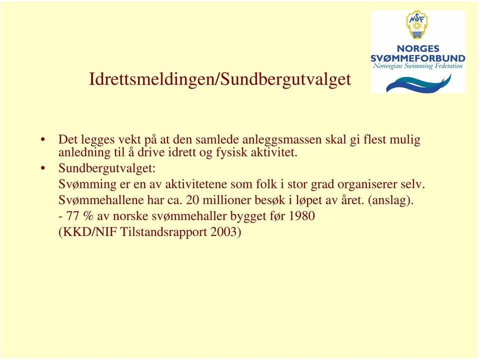 Sundbergutvalget: Svømming er en av aktivitetene som folk i stor grad organiserer selv.