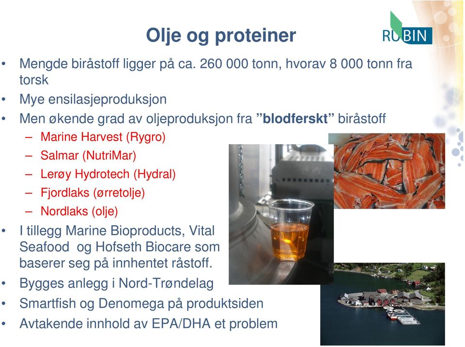 biråstoff Marine Harvest (Rygro) Salmar (NutriMar) Lerøy Hydrotech (Hydral) Fjordlaks (ørretolje) Nordlaks (olje) I