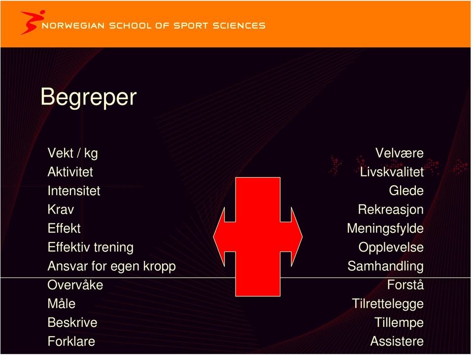 Beskrive Forklare Velvære Livskvalitet Glede Rekreasjon