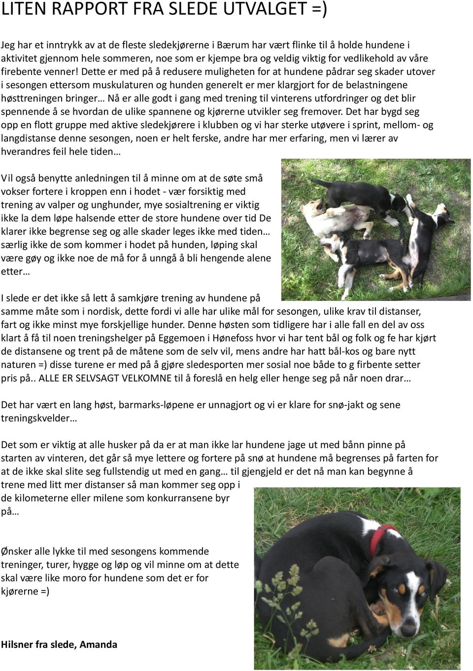 Dette er med på å redusere muligheten for at hundene pådrar seg skader utover i sesongen ettersom muskulaturen og hunden generelt er mer klargjort for de belastningene høsttreningen bringer Nå er