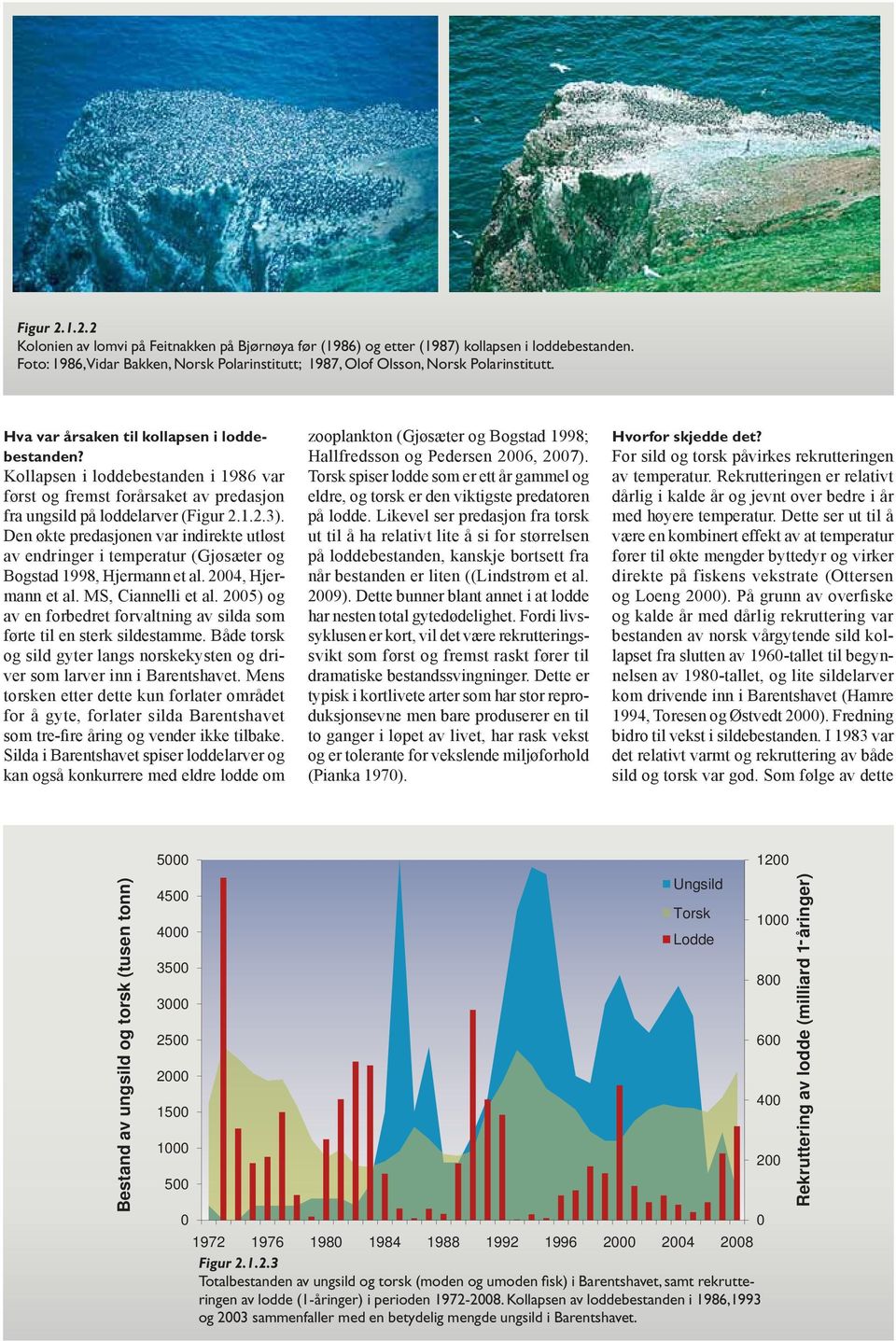 Kollapsen i loddebestanden i 1986 var først og fremst forårsaket av predasjon fra ungsild på loddelarver (Figur 2.1.2.3).