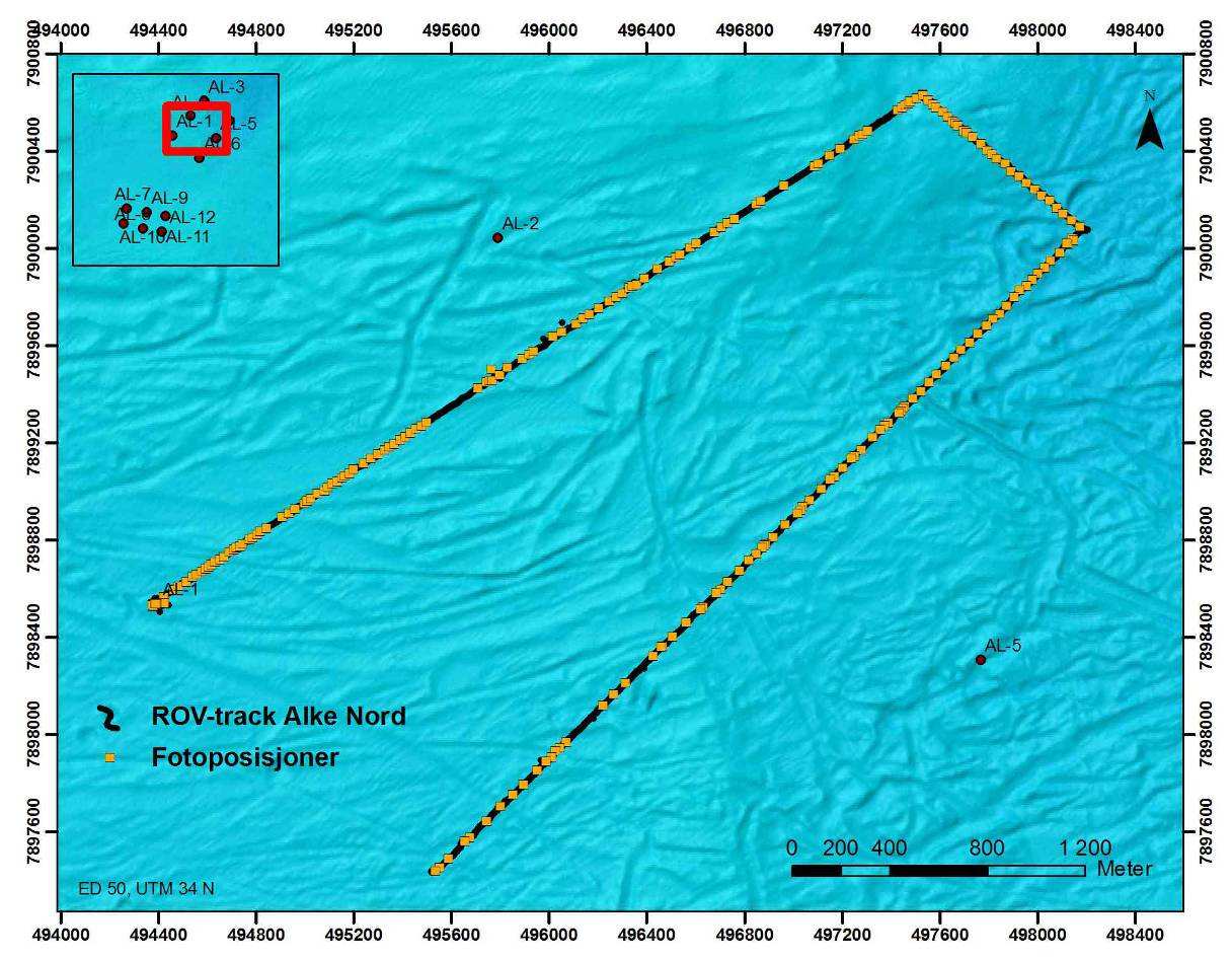 5.6 Alke Nord (Eni) 5.6.1 Generelt Det undersøkte området på Alke Nord (PL489) ligger mellom 177 og 213 meters dyp. Nærområdet til planlagt borelokasjon ble kartlagt som vist i Figur 5-18.
