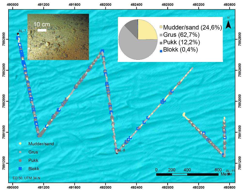 Figur 5-23: Sedimentregistreringer på Alke Sør. Kakediagrammet viser relative mengder av de ulike sedimentkategorier. Bildet viser typisk sediment på feltet. Topografidata: Havet i bilder.