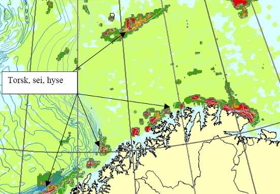 I kommersielt bunnfiske etter reker, torsk og hyse i Barentshavet benyttes i hovedsak bunntrål.