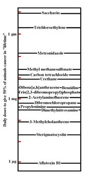 Fordeling av kreftdødsfall etter miljøfaktorer (Doll and Peto - 1981) Diet 35% (range, 1-7%) Alcohol 3% (Range,2-4%) Infection 1%?