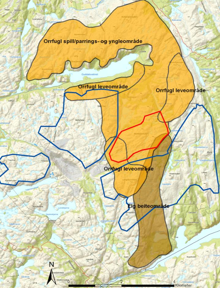 Ecofact rapport 283 Side 18 hvor stor grad hubro bruker planområdet. De viktigste områdene for hubro ligger i tilknytning til kyst- og jordbruksområder (Bjarne Oddane, pers. medd.).