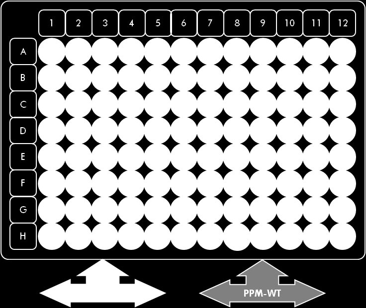 Figur 4. Anbefalt plateoppsett for ett eksperiment ved bruk av 24-reaksjonssettet (katalognr. 673523).