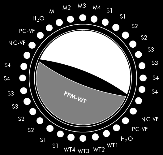 Figur 6. Anbefalt rotoroppsett for hvert eksperiment med ipsogen JAK2 MutaQuantsett.