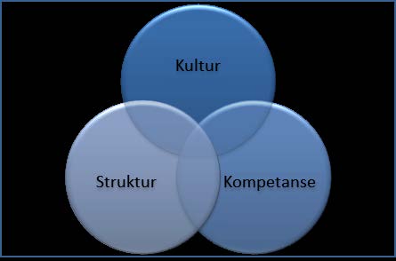 Figur 7: Organisatoriske faktorer i sikkerhetsstyringen (SVV, 2013) 4.2 Hvem har ansvar for ulykker?