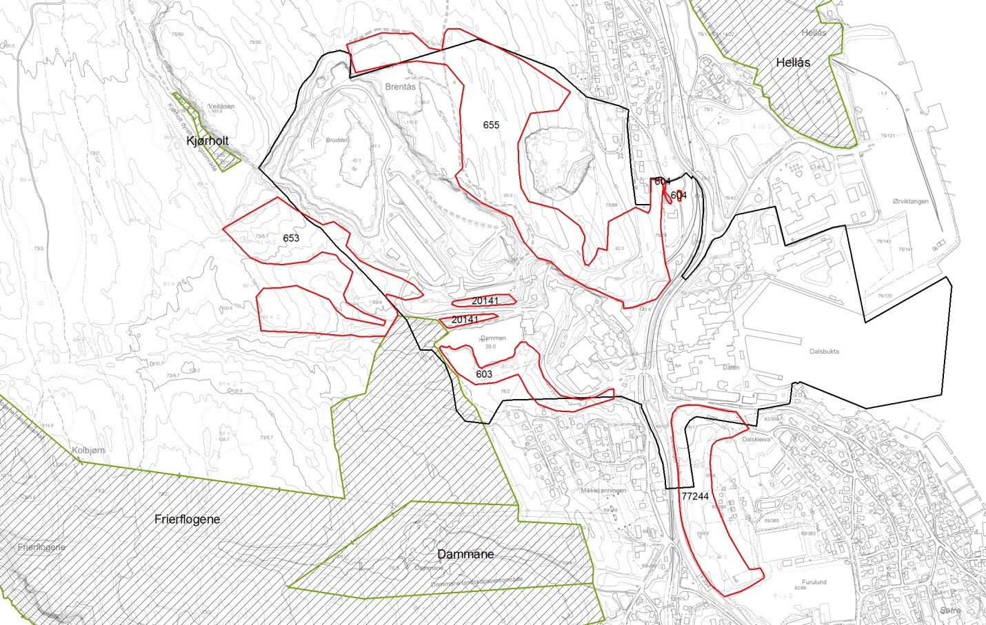 Tabell 1: Naturtypelokaliteter i tilknytning til planområdet. Navn / nr Data Kommentarer Dammen-Dalen / 603 Rik edelløvskog. B-verdi Ligger i hovedsak innenfor planområdet i sør. Revidert 2014.