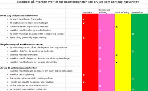 De beste profilene er de som er tilpasset individet Ta utgangspunkt i en profil (wordutgaven). Samarbeid med arbeidsgiver på arbeidsplassen og deltakeren.