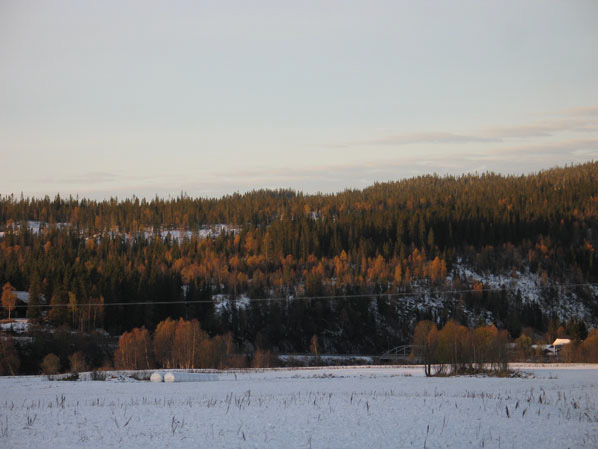 Geologi E6-12 TUNNEL VED REINFORSHEIA I RANA KOMMUNE.