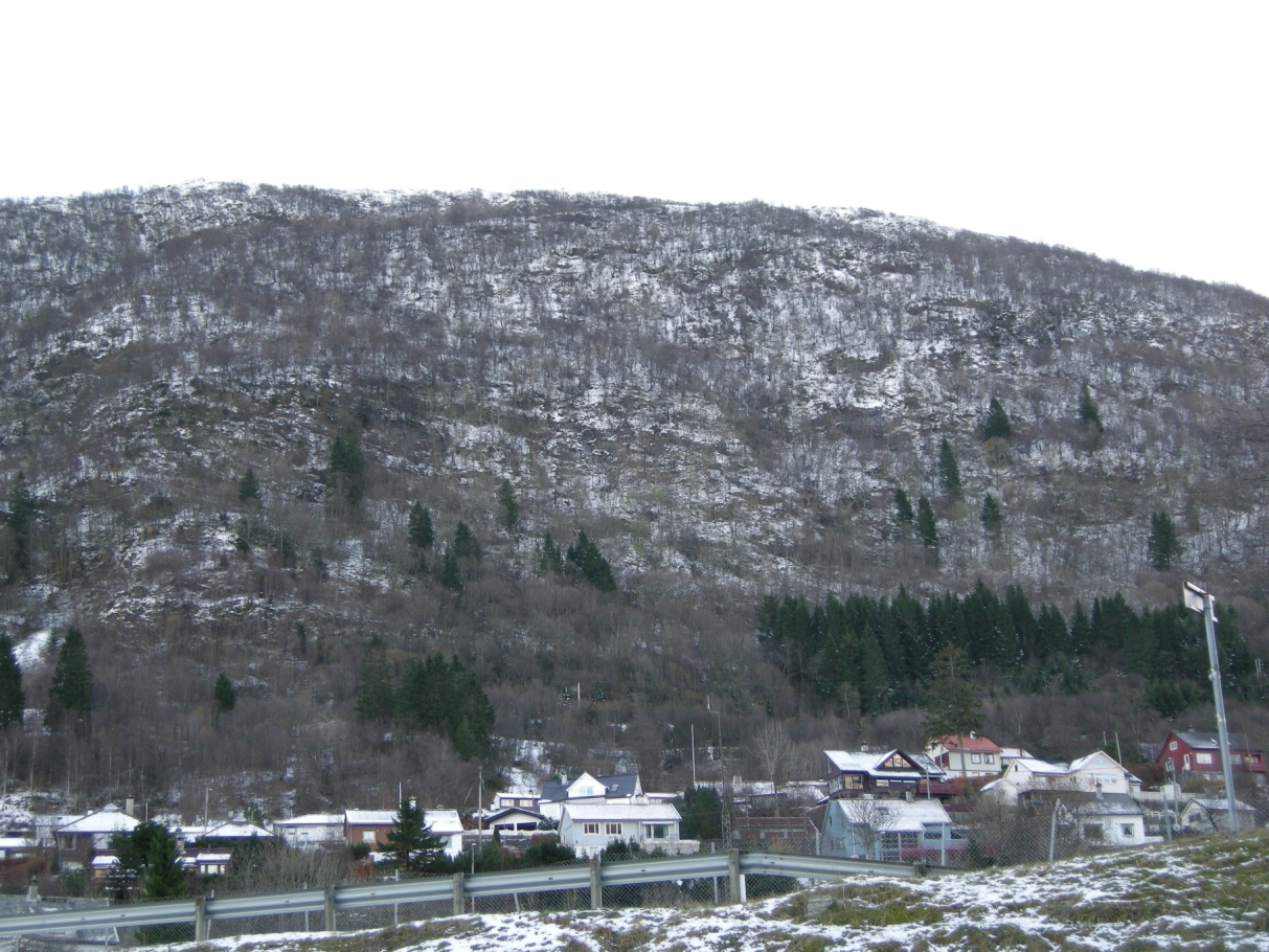 Side: 11 Figur 5 Nordlige del av fjellsida under Ådnanipa ved