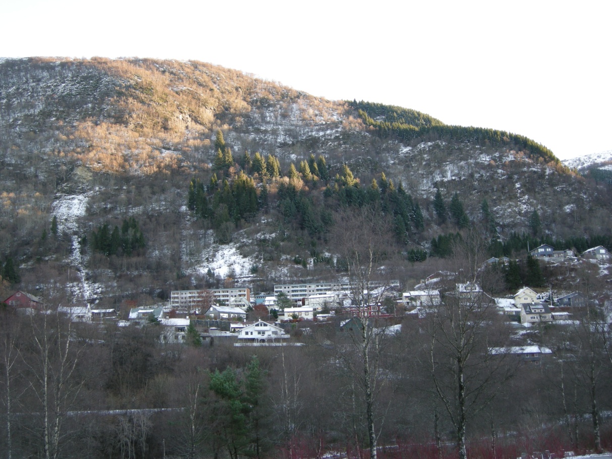 Side: 12 Figur 7 Nordlige del av fjellsida opp mot Ådnanipa Store deler av fjellsida er brattere enn 30. Dette er nedre grense for hvor skred kan løsne.