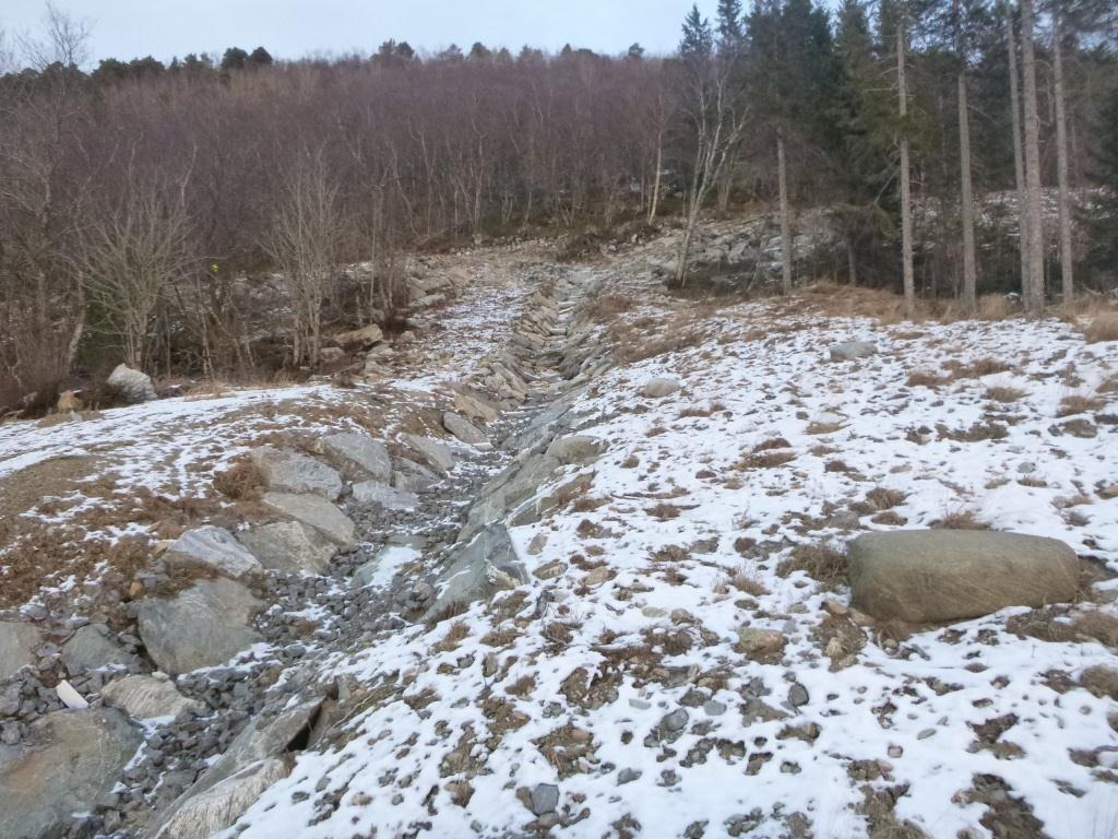 N Figur 6: Løsmassekart over området (www.ngu.no). BK4 BK3 Figur 7. Bildet er tatt fra samme sted som bildet i Figur 5, men mot nord. Bildet viser tett skog i terrenget over planområdet.