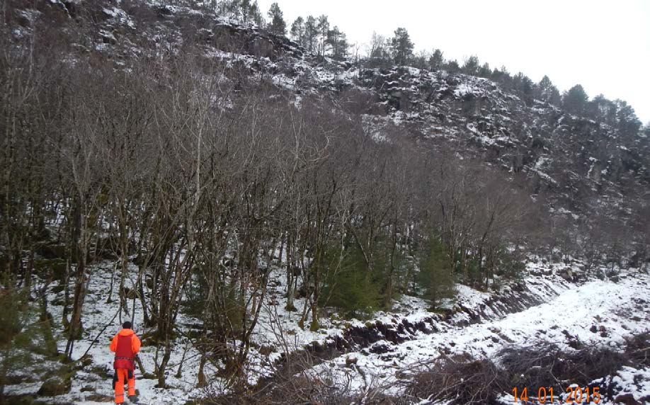 Figur-1-5: Ved foten av fjellet Figur-1-6: Ved foten av fjellet ved