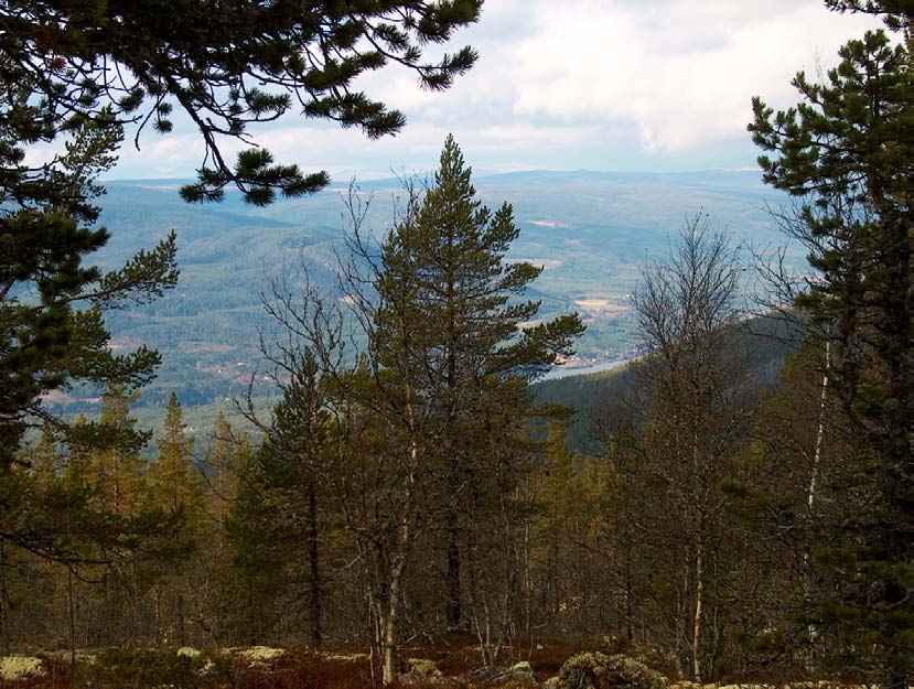 PLANBESKRIVELSE for Hyttefelt Renåfjellet FBC-FBF (Plan-ID R 39) og Høydebasseng Renåfjellet