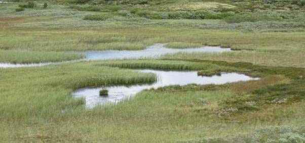 i omfang siden 1970-tallet og kun noen få kvadratmeter med permafrost var igjen i 2010 og