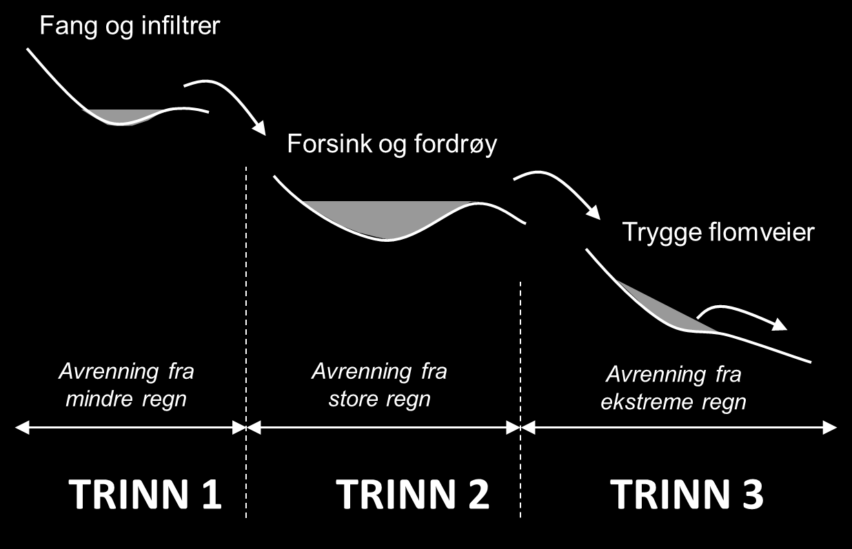 Filtermediet som typisk består av sand, matjord og løv-kompost: 1. Infiltrere overvann 2. Fjerne forurensning 3.