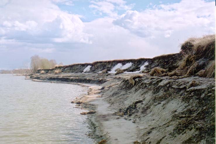 Fig. 5.6. Erosjonskanten ved Årnestangen på lav vannstand 6. april 1995.