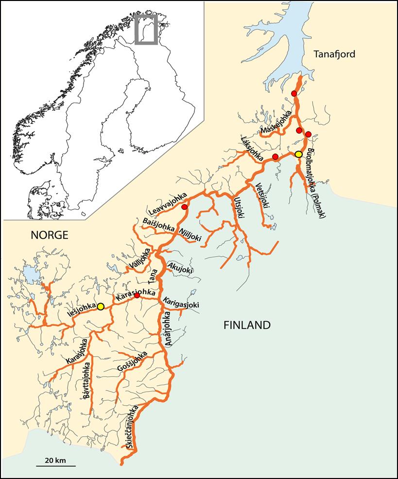 2 Vassdragsbeskrivelse Tanavassraget har et nedslagsfelt på 16 39 km 2, hvorav 7 % er i Norge og resterende 3 % er i Finland. Vassdraget har rundt 1 2 km lakseførende elvestrekning.