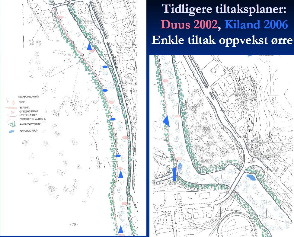 Det er viktig å identifisere hvilke biologiske arter/grupper som er målsettingen med tiltakene, fordi de begrunner stedsspesifikke og konkrete valg av tiltak (art, størrelse, sesong), de er fokus for