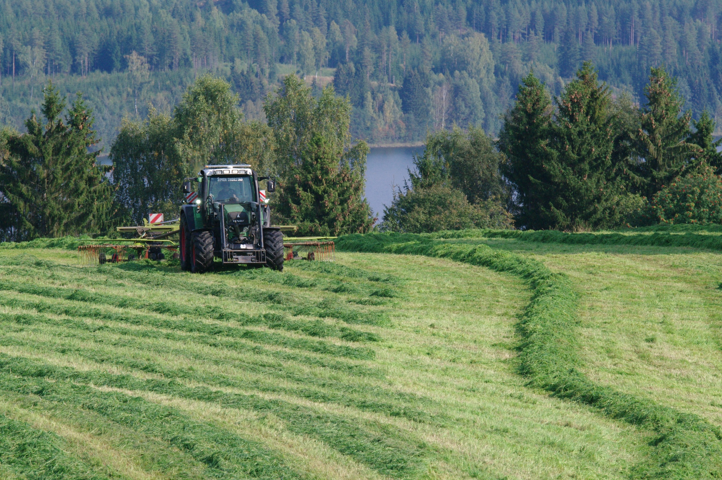 LANDBRUKSMELDING FOR GJØVIK KOMMUNE 2017 2022 Høringsdokument Grashøsting på