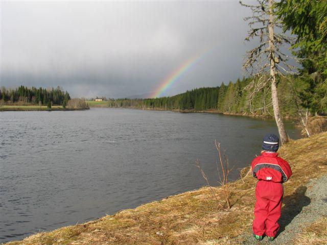 Visjon Kystskogbruket skal være