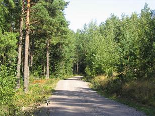 Prioriterte tiltak for Fylkeskommunale myndigheiter: bygg 1. Skog og klima Lage klimaskogprogram for kystfylka.