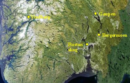 På en granbestand i to av langtidsforsøkene (Bergermoen og Rustan skog) har vi undersøkt jorda og bunnvegetasjon i to/tre