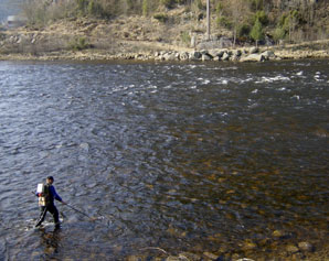 Fiskeundersøkelser ved hjelp av elektrisk fiske. Foto: Frode Kroglund Lakseunger fanget ved hjelp av elektrisk fiske. Foto: Frode Kroglund som ble gjenfanget samme høst.