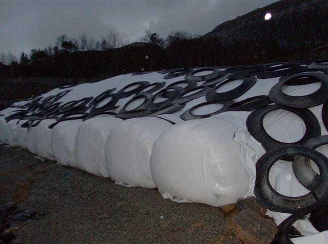 Vurderinger. Ny silo avhengig av innleid hjelp. Egeninnsats ved nybygg av silo? Regn inn faste kostnader på eksisterende silo? Rundballetransport på vinteren/snøbrøyting?