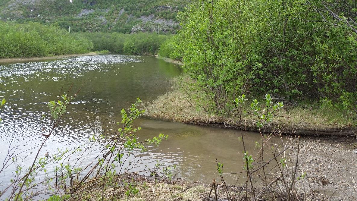 Særskilt om utbygging langs vassdrag Gi vassdraget plass Erosjonssikring og vrl 11 Oppfylling og flomforbygging