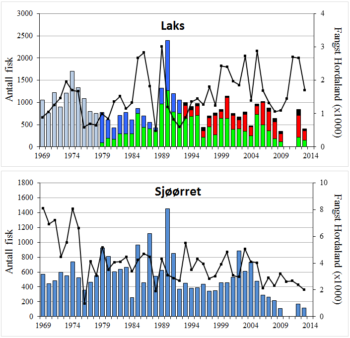 FANGSTSTATISTIKK Det foreligger fangststatistikk for samlet fangst av laks og sjøørret i Etnevassdraget fra 1969 til i dag (figur 7).